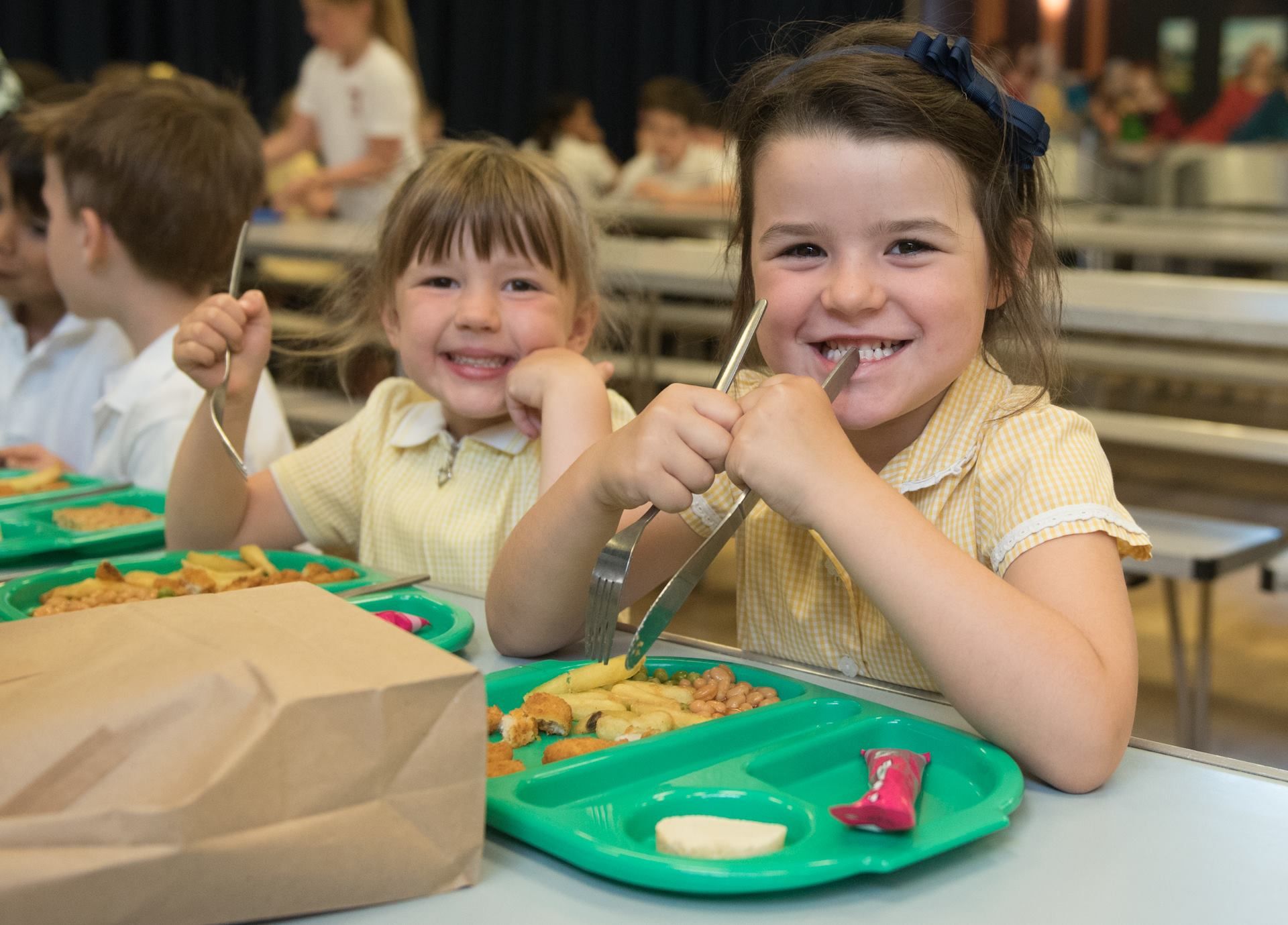 essay on free school meals